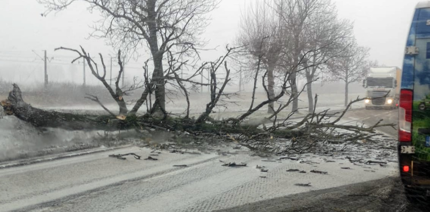 Region - Krajobraz po wichurze. Powalone drzewa na drogach