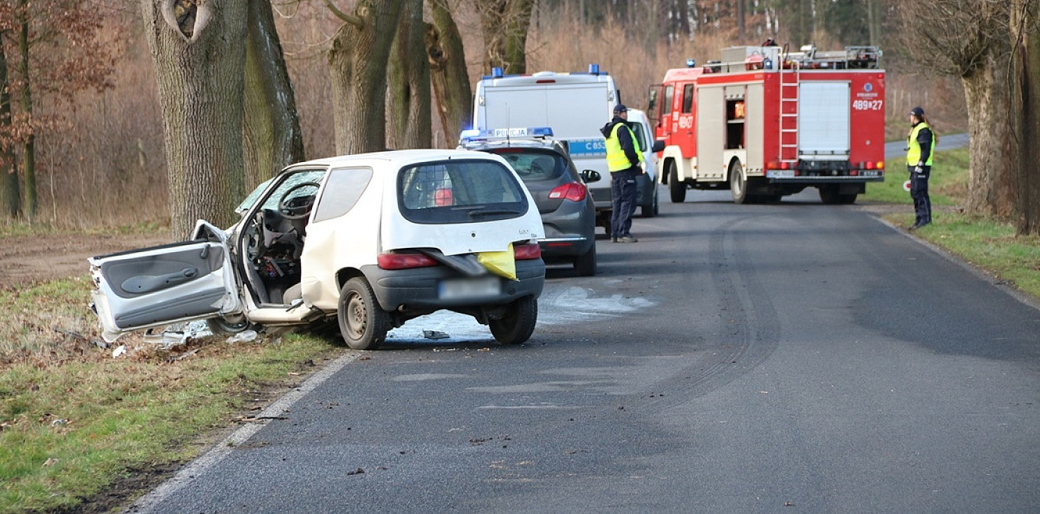 Mogilno - Rozbił seicento na drzewie