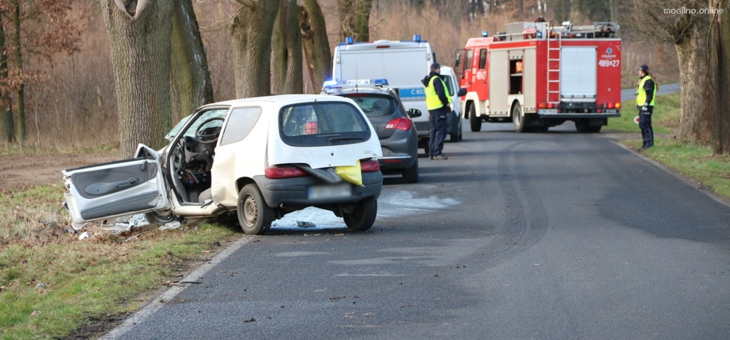 Mogilno - Rozbił seicento na drzewie