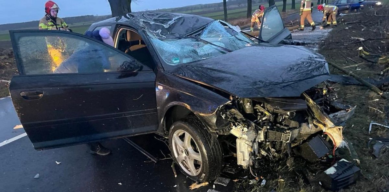 Region - Audi wjechało w połamane drzewo. Mandat dla kierowcy