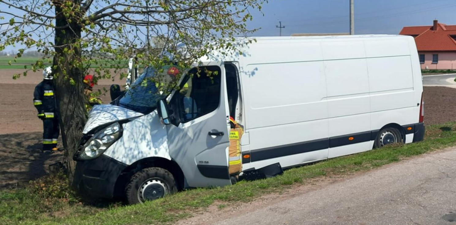 Region - Chciał ominąć stado dzików. Uderzył w drzewo