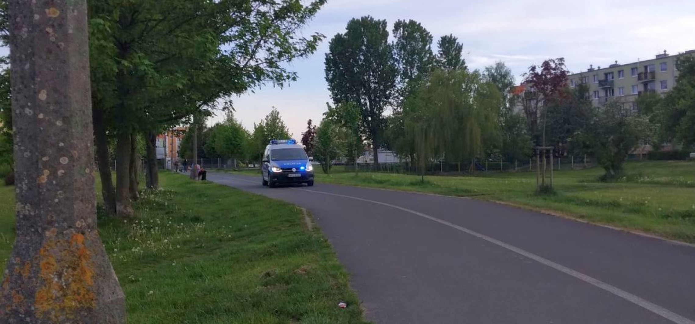 Inowrocław - Co policja robiła wczoraj przy rąbińskiej Kauli?