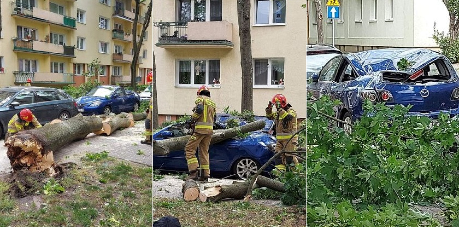 Inowrocław - Zniszczone auta na os. Nowym