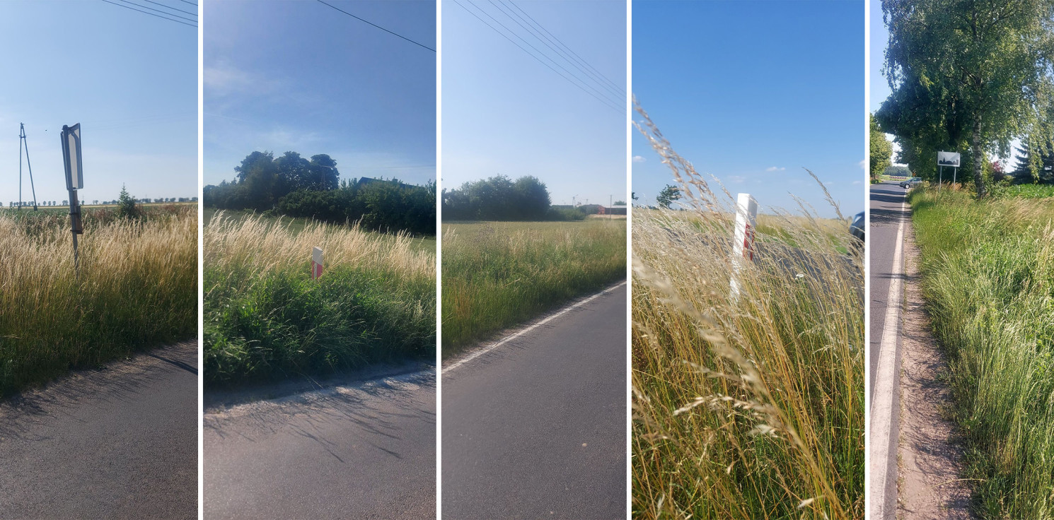 Dąbrowa Biskupia - Wysokie trawy przy drodze. Kiedy znikną?