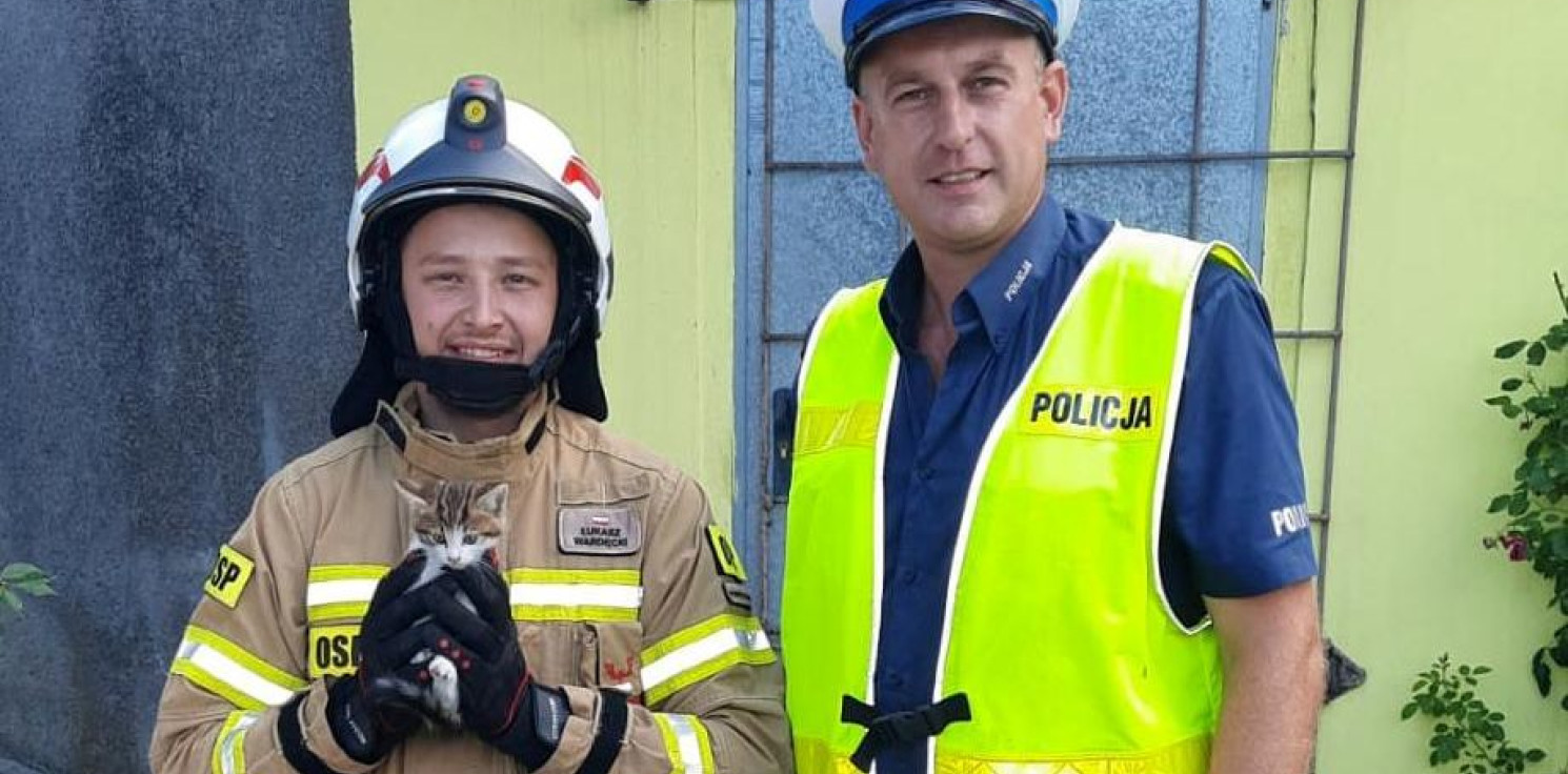 Region - Policjant uratował małego kota. Pomogli mu druhowie