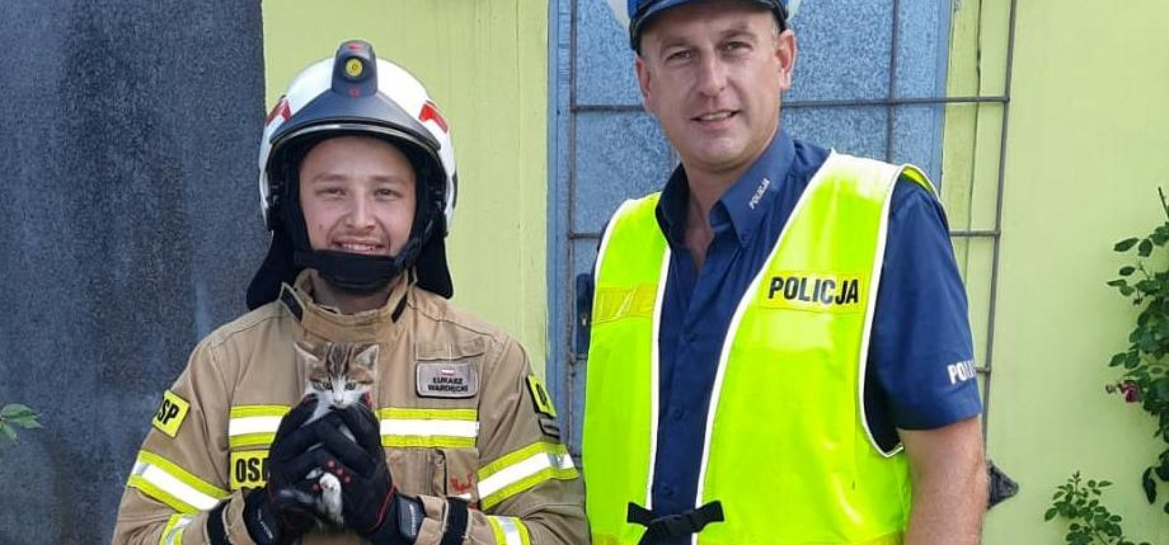 Region - Policjant uratował małego kota. Pomogli mu druhowie