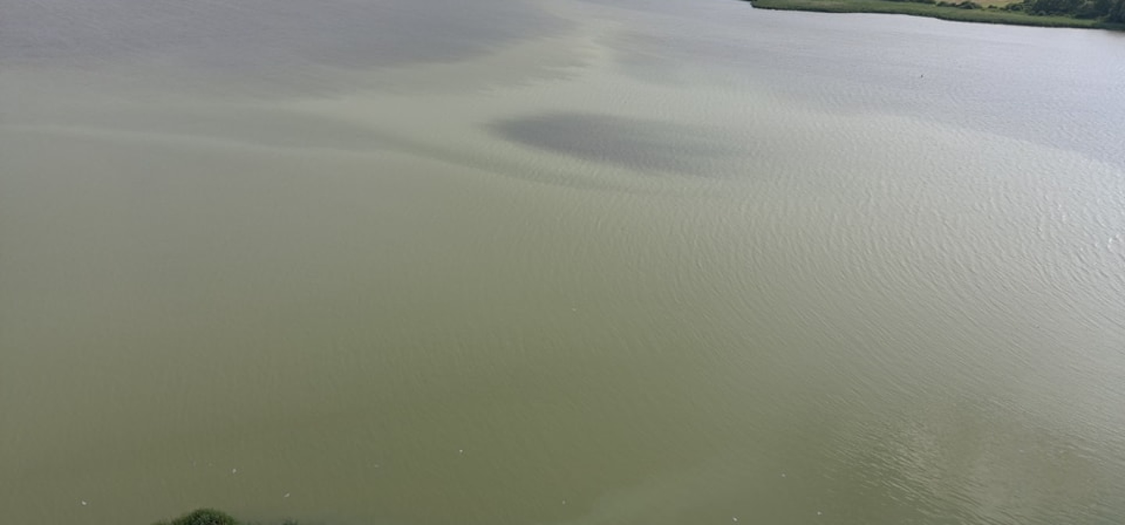 Kruszwica - Zagadkowa woda w Gople. Wykluczają zrzut z odkrywki w Tomisławicach