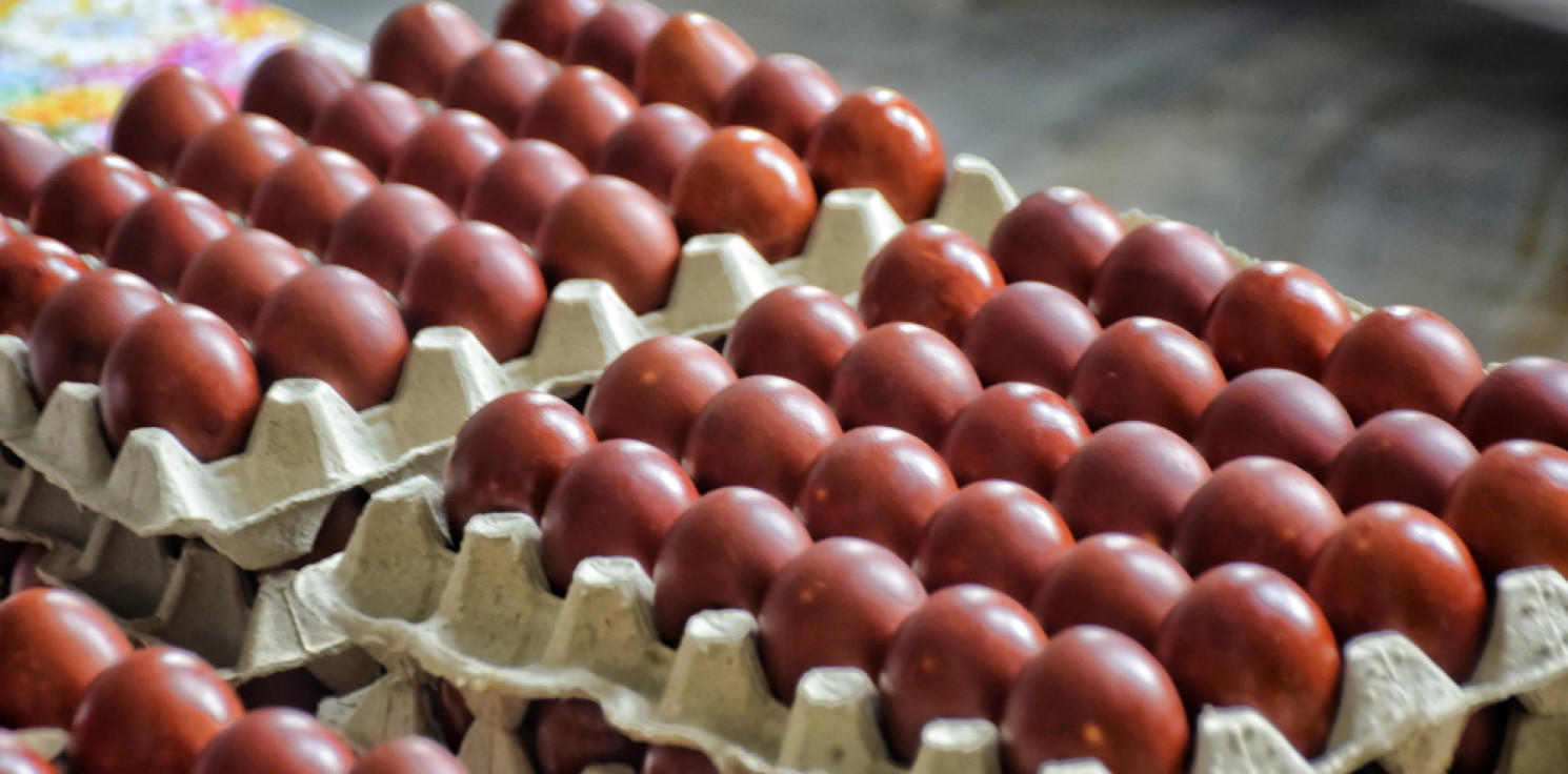 Kraj - Producenci drobiu: pod koniec roku jaja mogą być droższe o kilkadziesiąt procent
