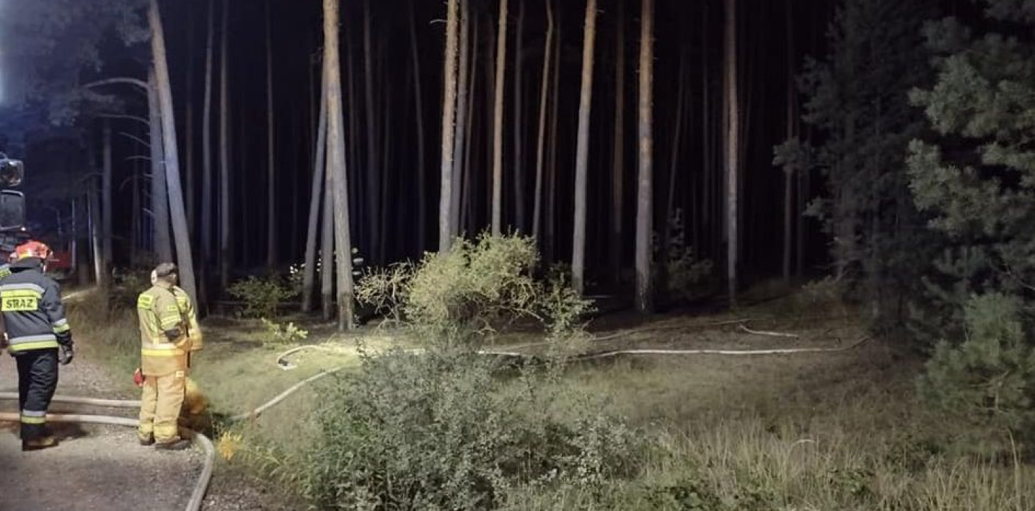 Region - Seria podpaleń koło Cierpic. Leśnicy z apelem