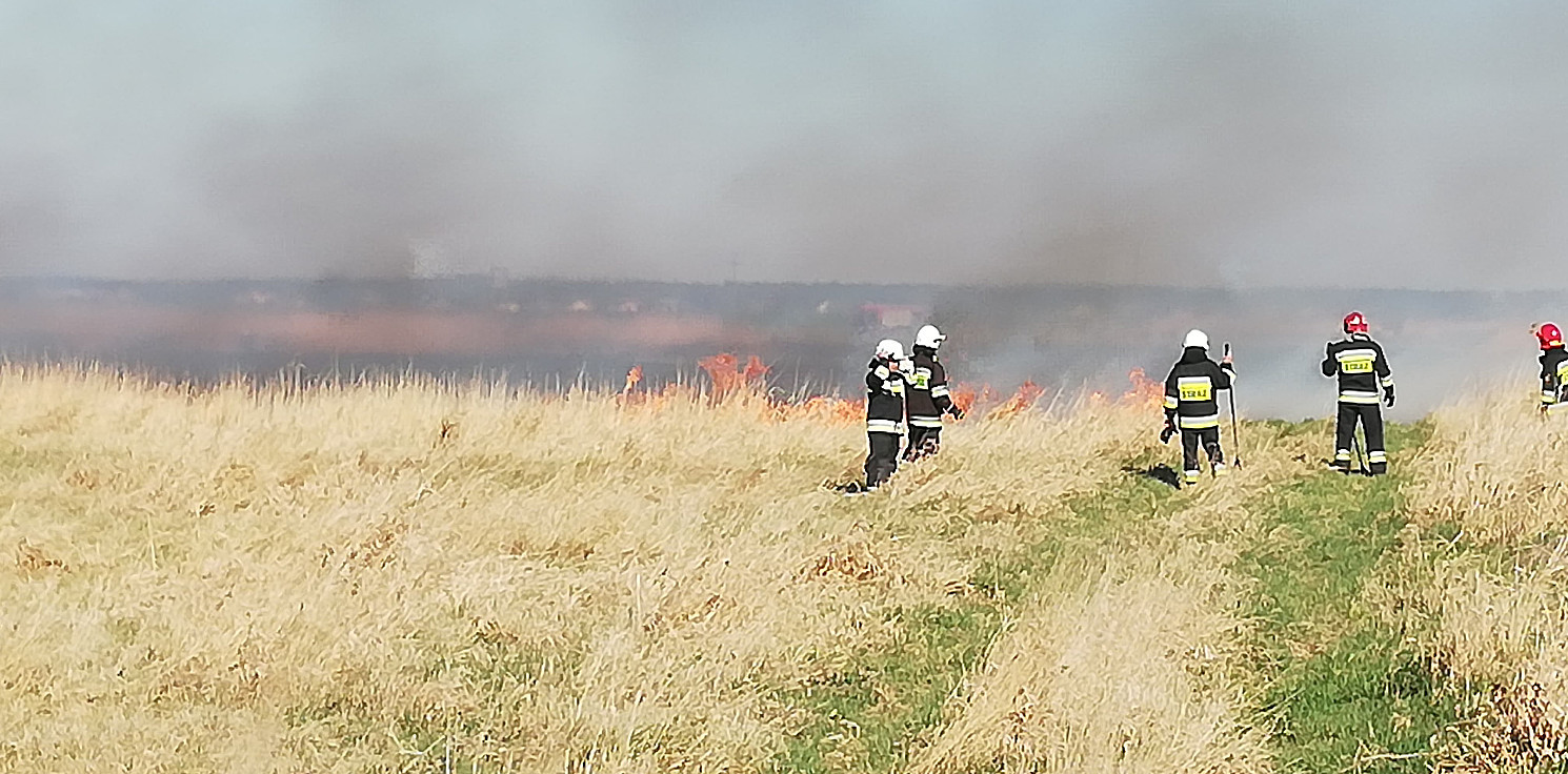 Kruszwica.online - Znów płoną trzciny koło Kruszwicy