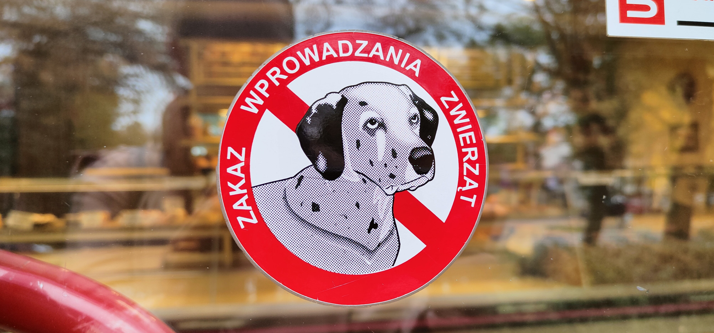 Inowrocław - Do sklepu z psem? To coraz bardziej popularne