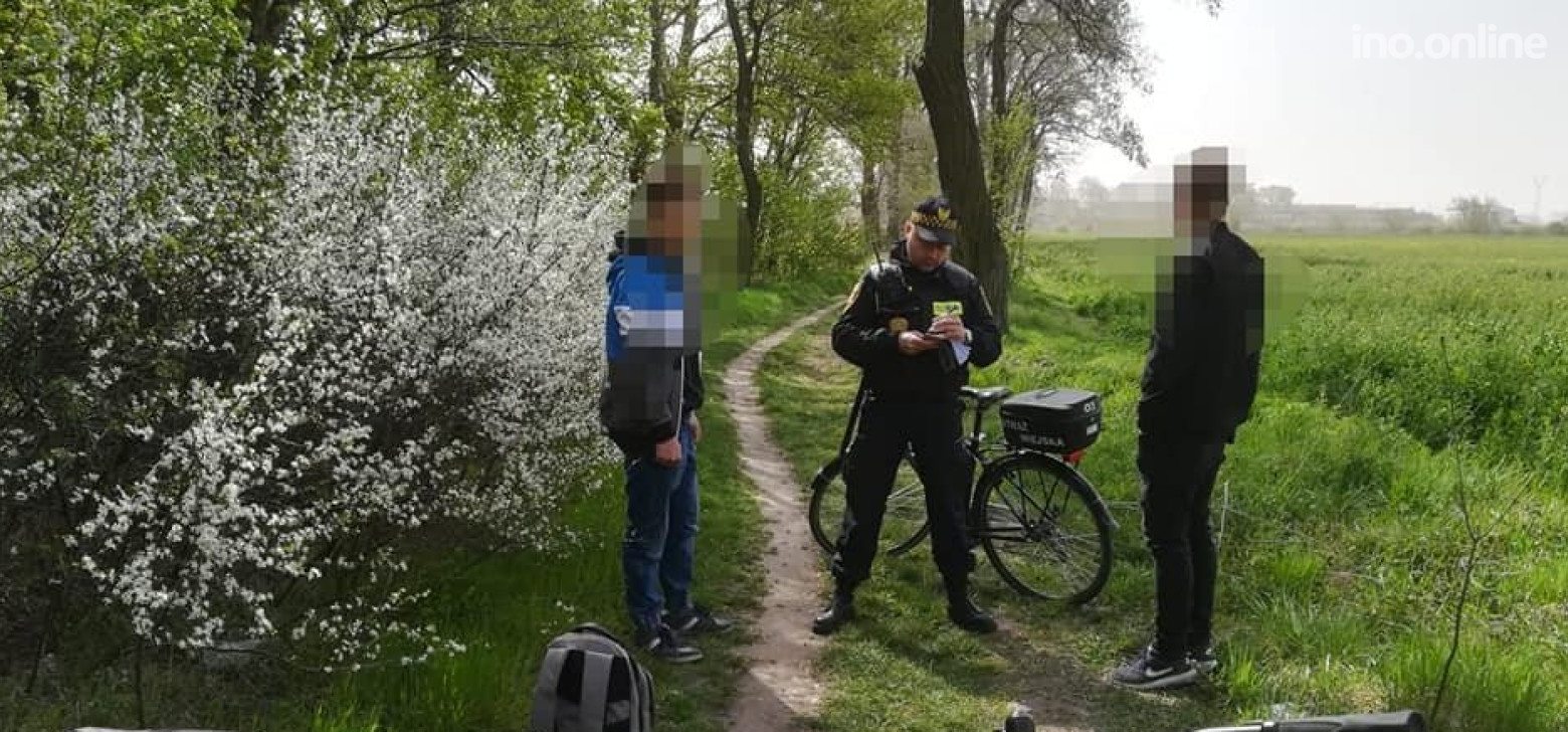 Inowrocław - Straż Miejska nakryła ich w krzakach