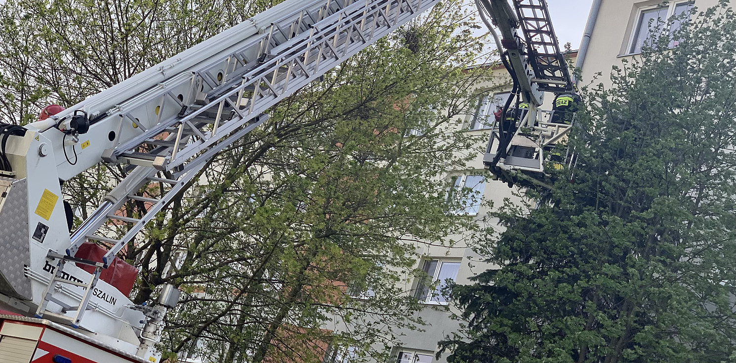 Inowrocław - Dziesiątki interwencji straży w regionie