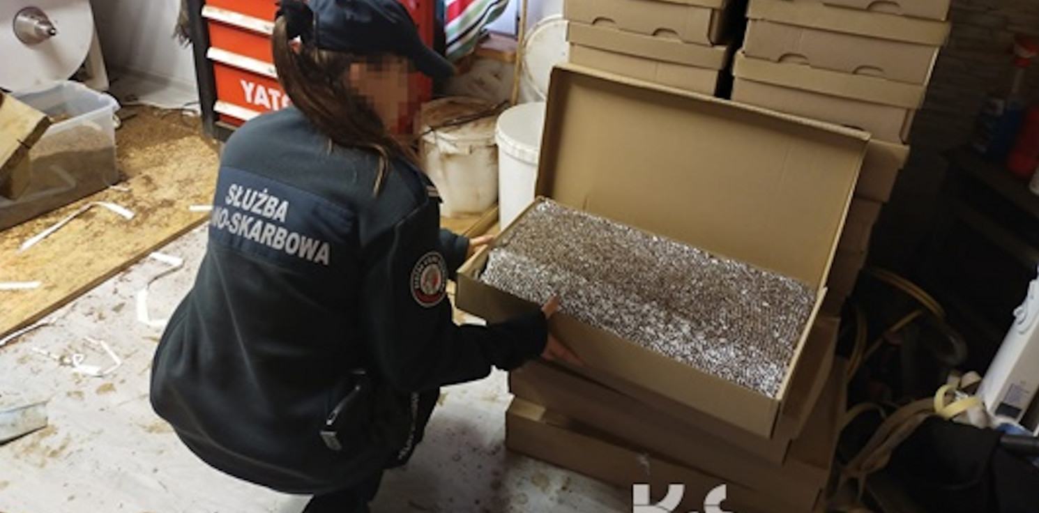 Region - W kartonach zamiast pizzy były papierosy. KAS z Torunia wykryło nielegalną fabrykę
