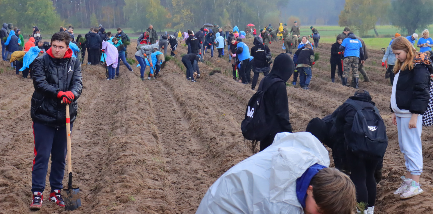 Region - Kilkaset osób sadziło nowy las w regionie
