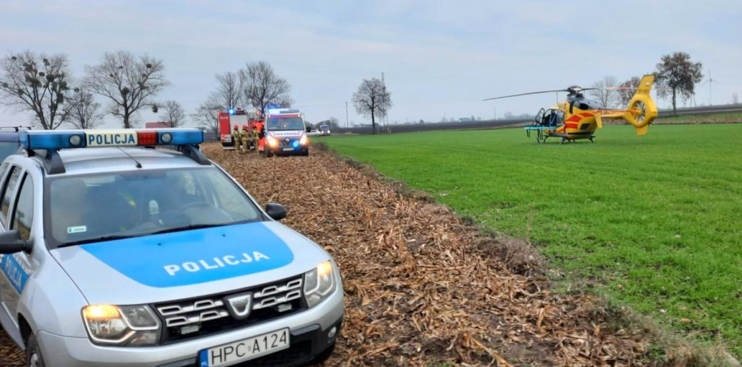 Region - Został przygnieciony przez drzewo, które ścinał