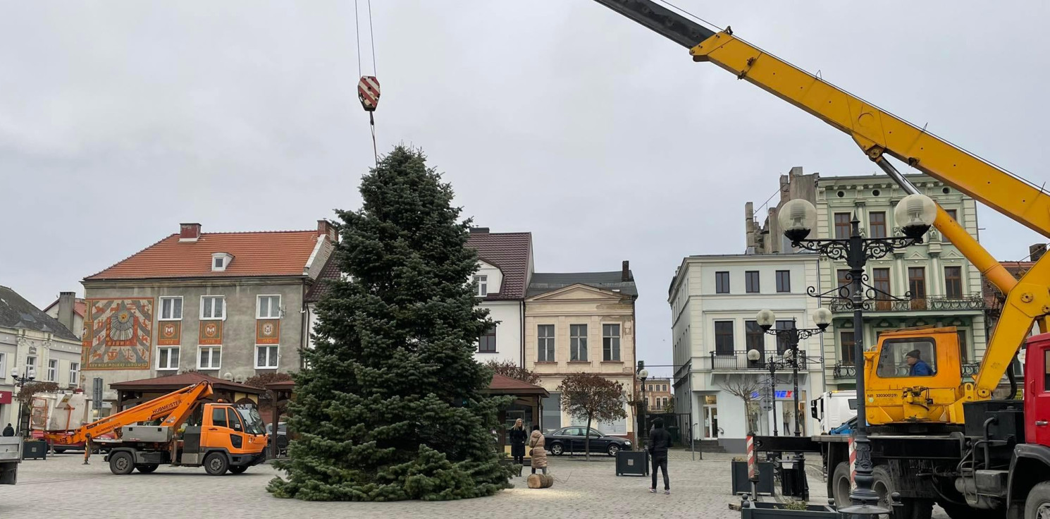 Inowrocław - Na inowrocławskim Rynku stawiają choinkę