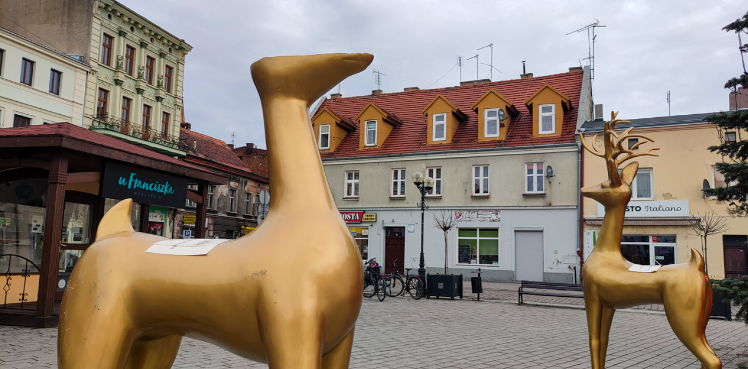 Inowrocław - Inowrocławski renifer stracił głowę, celebrując Nowy Rok
