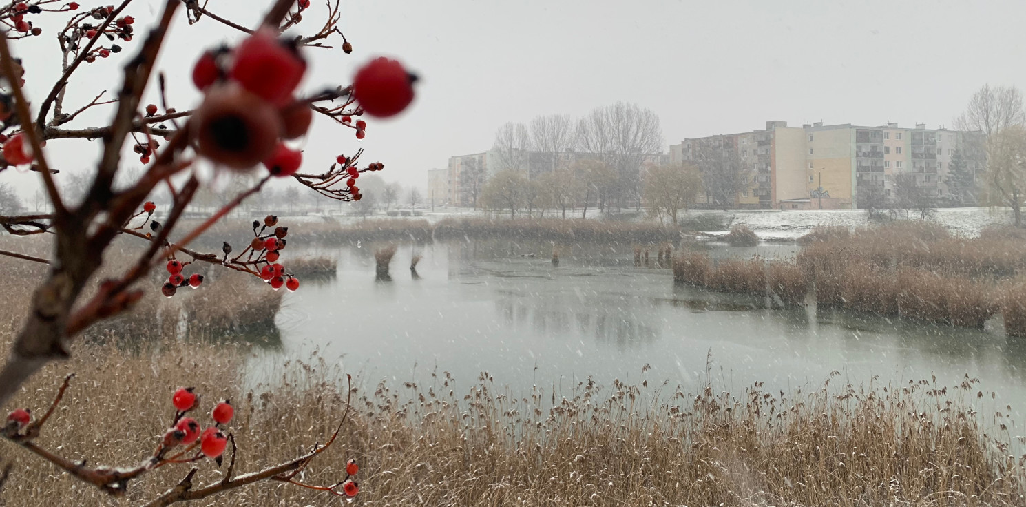 Inowrocław - Dzień dobry, Inowrocław!