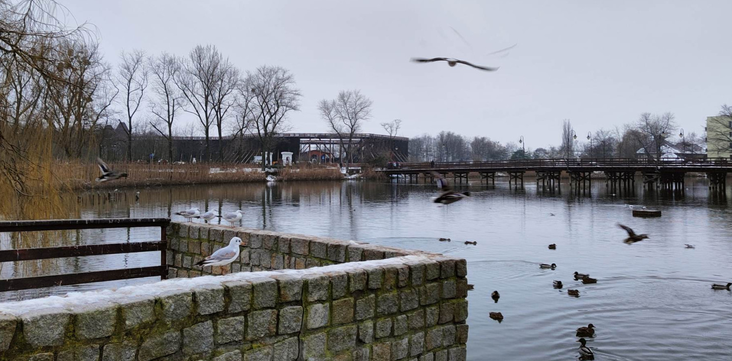 Inowrocław - Dzień dobry, Inowrocław!