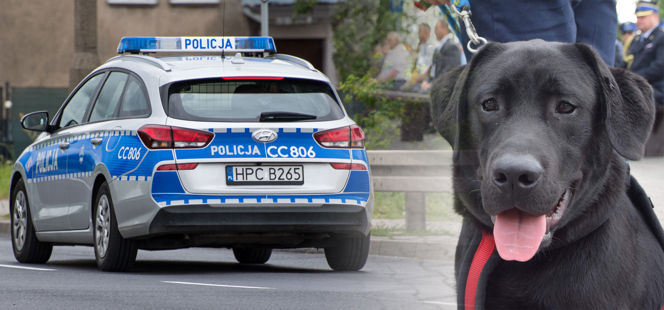 Inowrocław - Nissan potrącił labradora. Policja szuka świadków