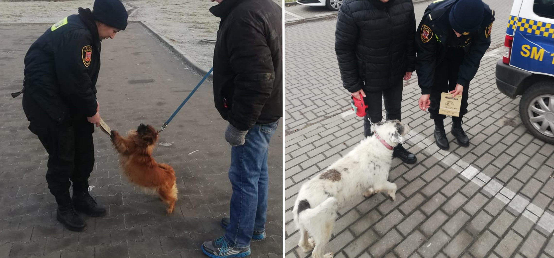 Inowrocław - Strażnicy miejscy rozdawali psie pakiety