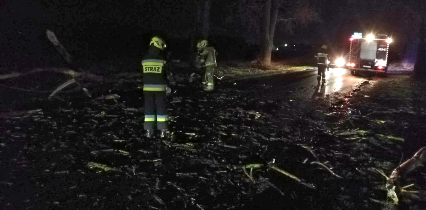 Region - Silny wiatr łamie drzewa w regionie