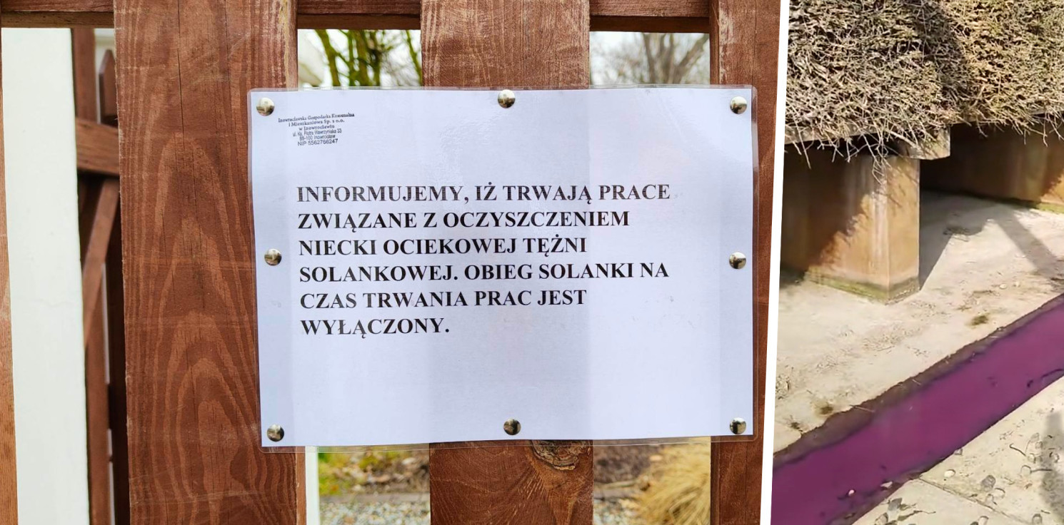 Inowrocław - Co zabarwiło nieckę tężni? Nowe, "owocowe" ustalenia