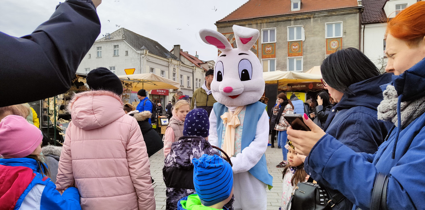Inowrocław - Moc atrakcji w Zagrodzie Zajączka na Rynku