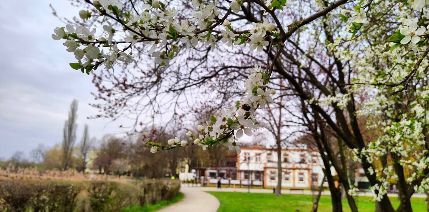 Inowrocław - Dzień dobry, Inowrocław!