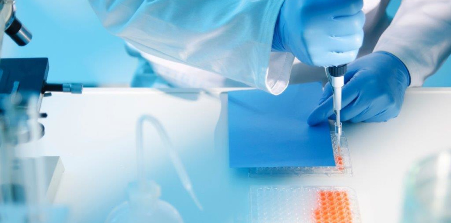 Kraj - Naukowcy z Łodzi promują metody alternatywne będące ratunkiem dla zwierząt laboratoryjnych 