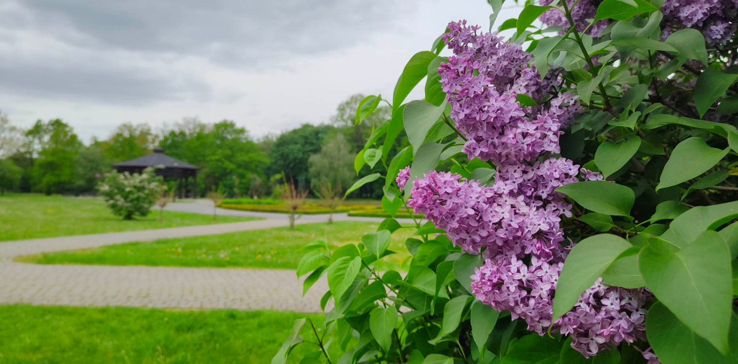 Inowrocław - Dzień dobry, Inowrocław!