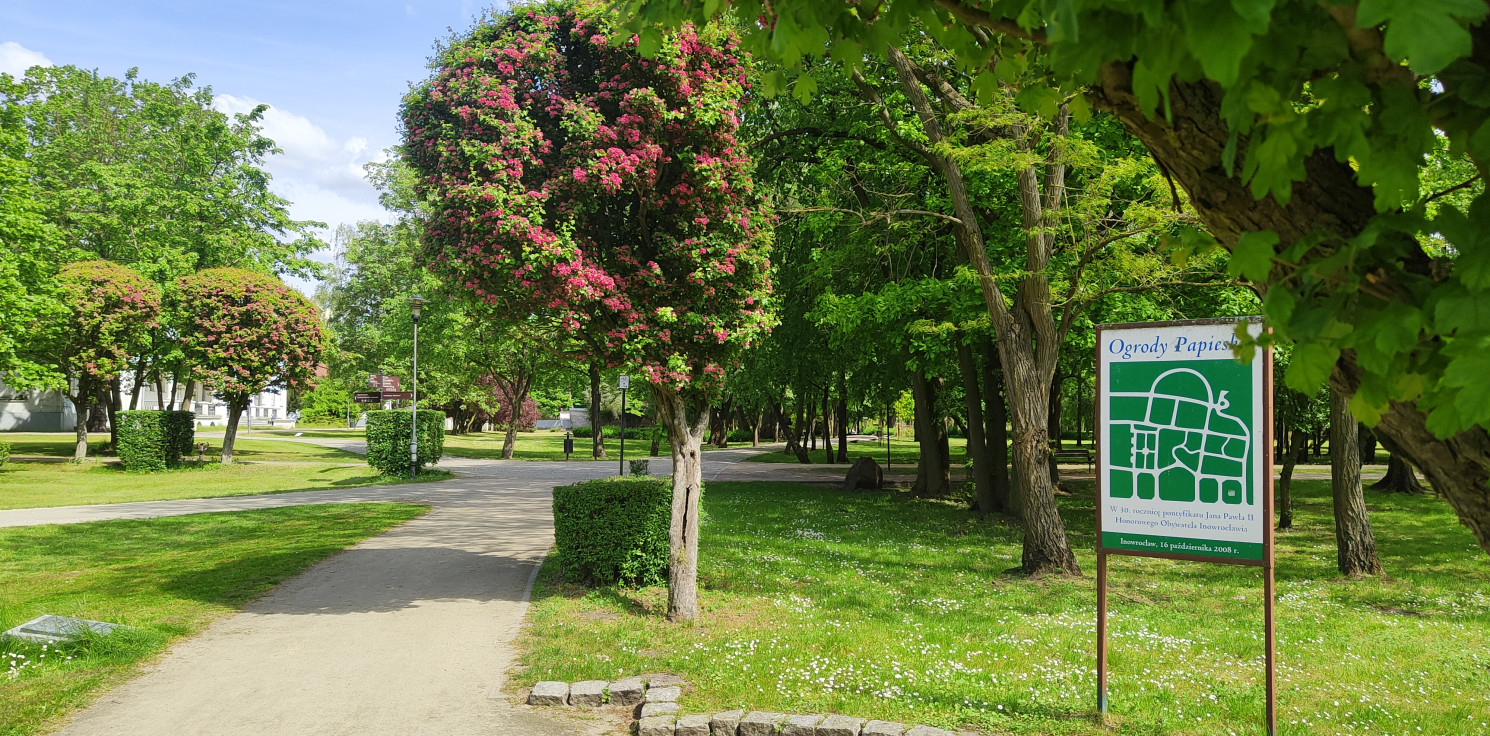 Inowrocław - Dzień dobry, Inowrocław! 