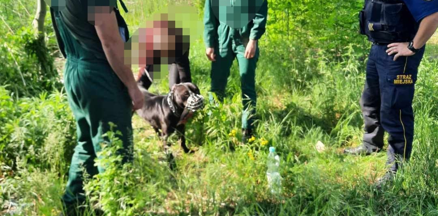 Inowrocław - W drodze do szkoły zauważył porzuconego psa
