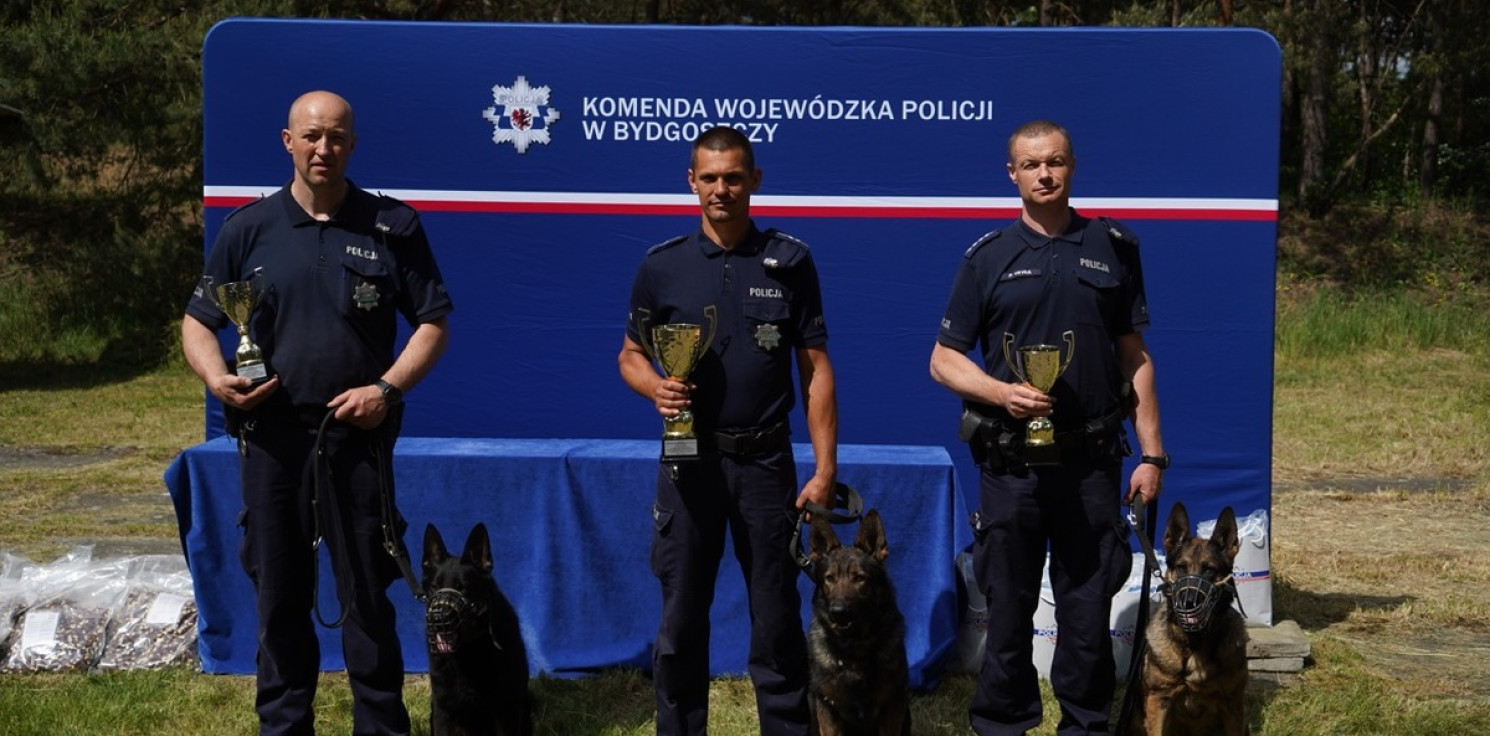 Region - Zwycięzcy weszli na podium na czterech łapach