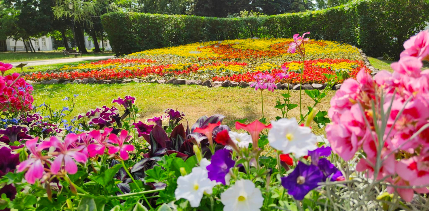 Inowrocław - Dzień dobry, Inowrocław!