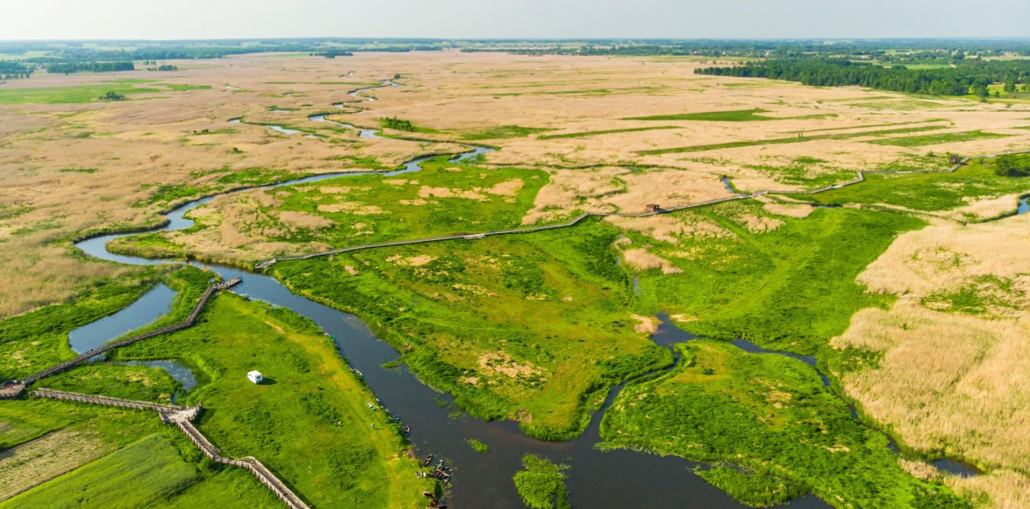 Kraj - PGE wspiera Magurski Park Narodowy oraz Narwiański Park Narodowy