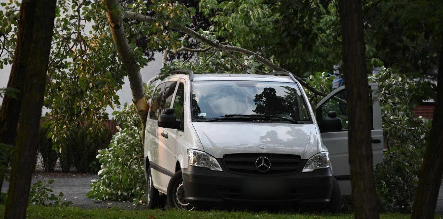 Inowrocław - Konar drzewa spadł na samochód