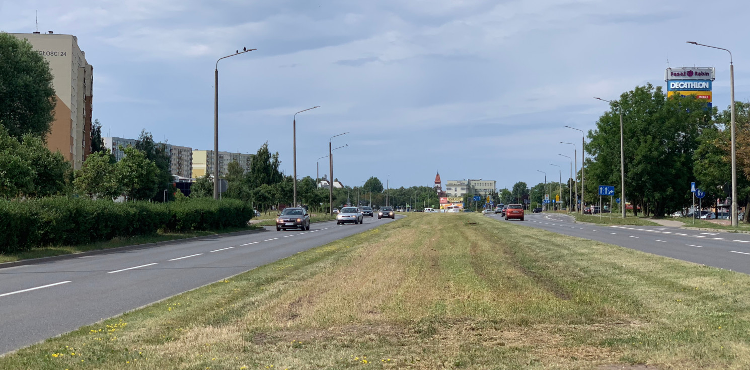 Inowrocław - Skoszono łąkę kwietną. Mieszkańcy pytają o powody