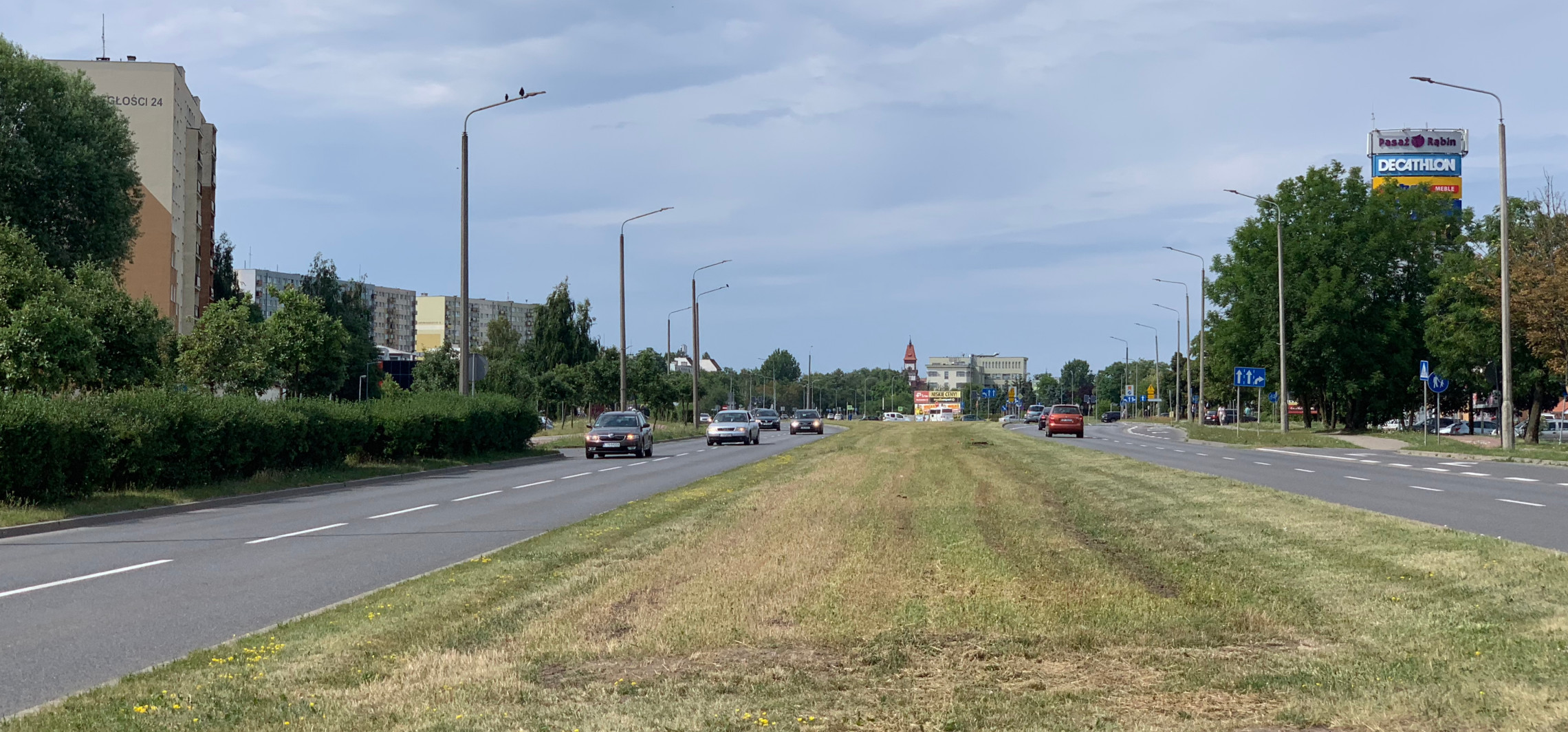 Inowrocław - Skoszono łąkę kwietną. Mieszkańcy pytają o powody