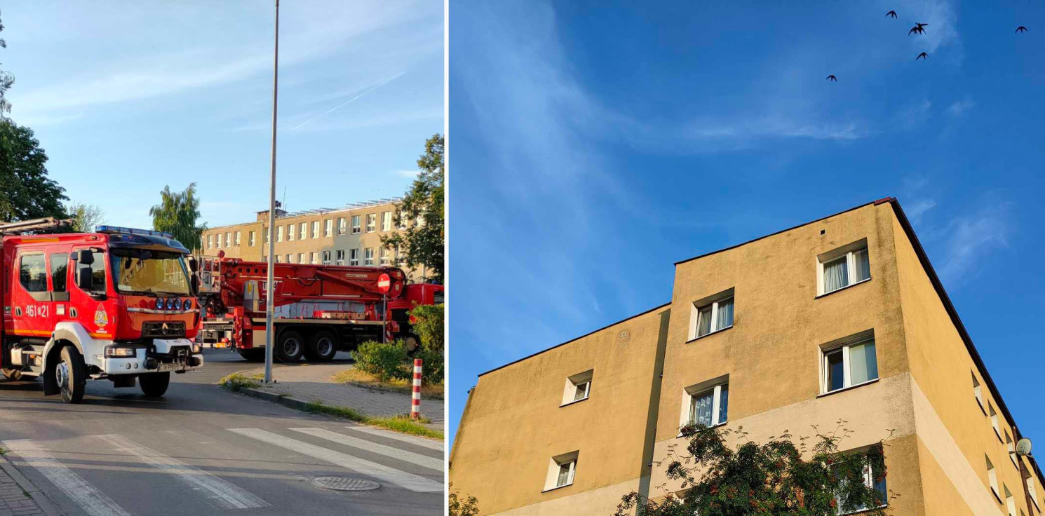 Inowrocław - Jerzyk zaplątał się w sznurek. Uwolnili go strażacy