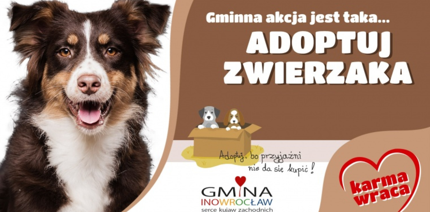 Inowrocław - Dołącz do akcji "Karma wraca” i nakarm psiaki