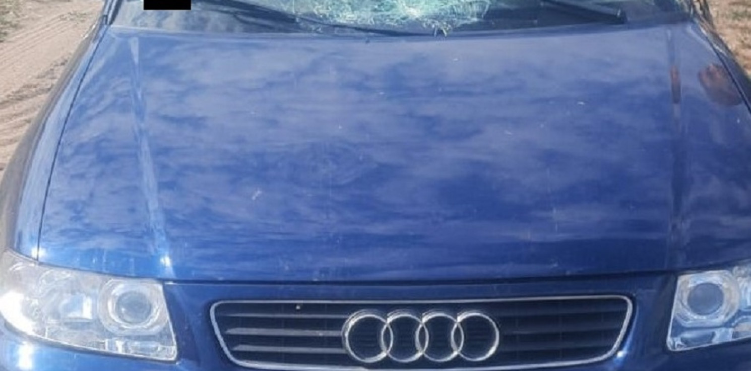 Radziejów - Konar spadł na jadące audi