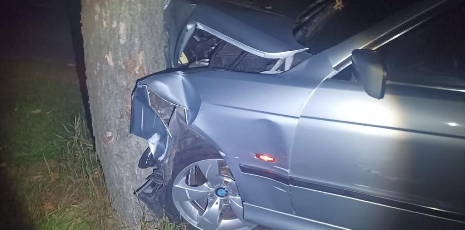 Region - BMW uszkodziło płot, po czym uderzyło w drzewo