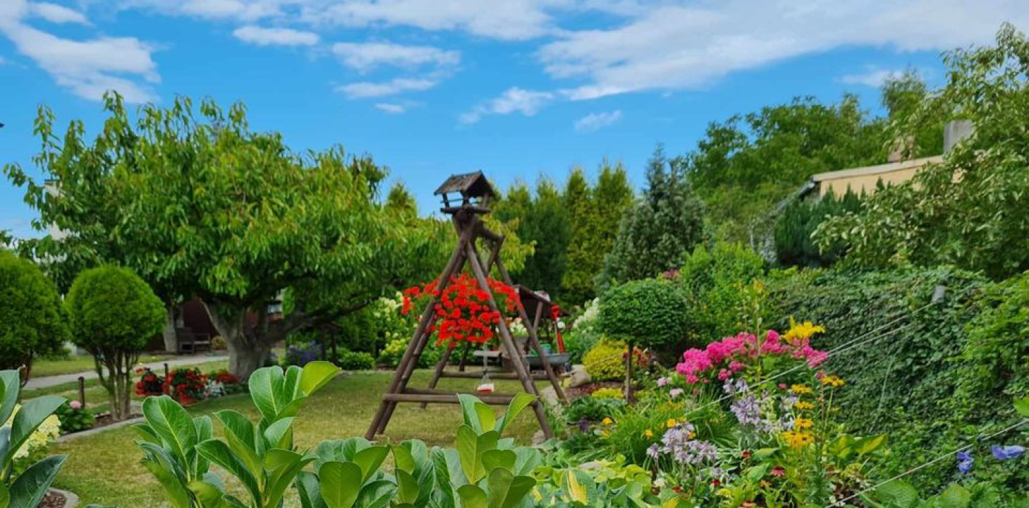 Inowrocław - W tym ogrodzie kwitnie kreatywność