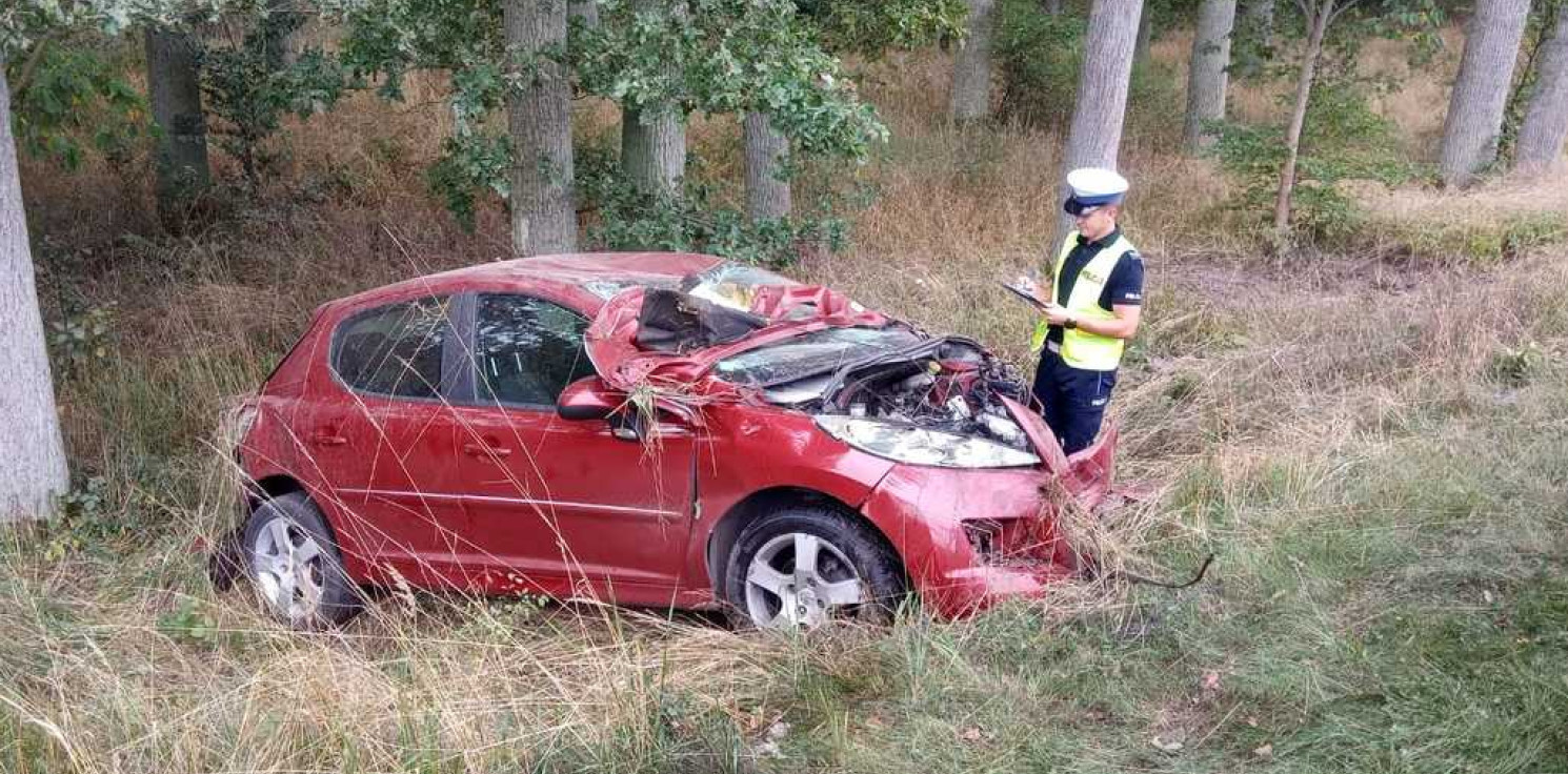 Region - 18-latek peugeotem uderzył w drzewo. Pasażerka w szpitalu