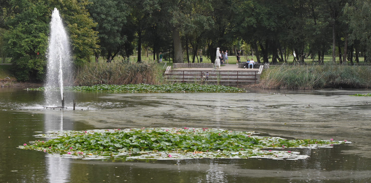 Inowrocław - Dzień dobry, Inowrocław!