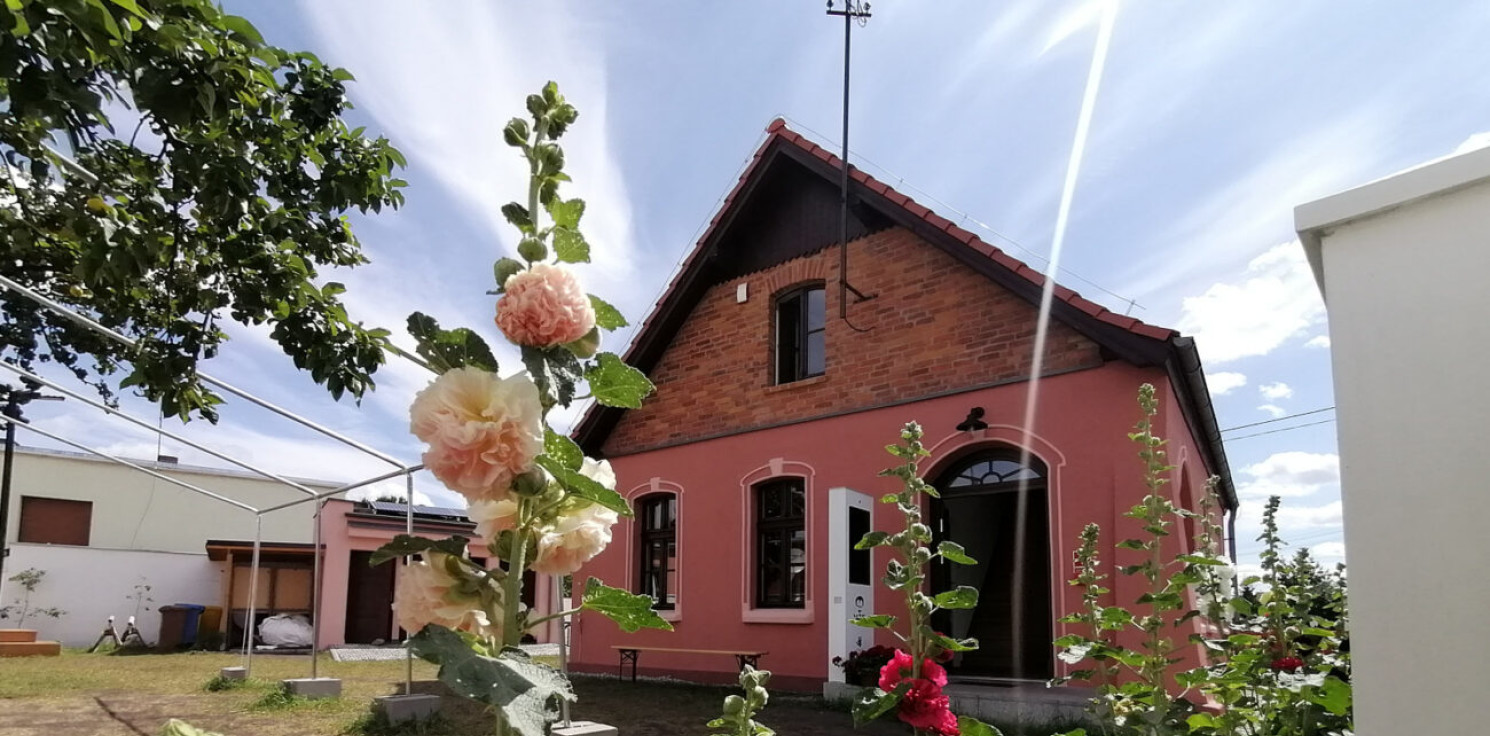 Inowrocław - Przywołówki, koza i poezja Kasprowicza. Nasze żywe dziedzictwo