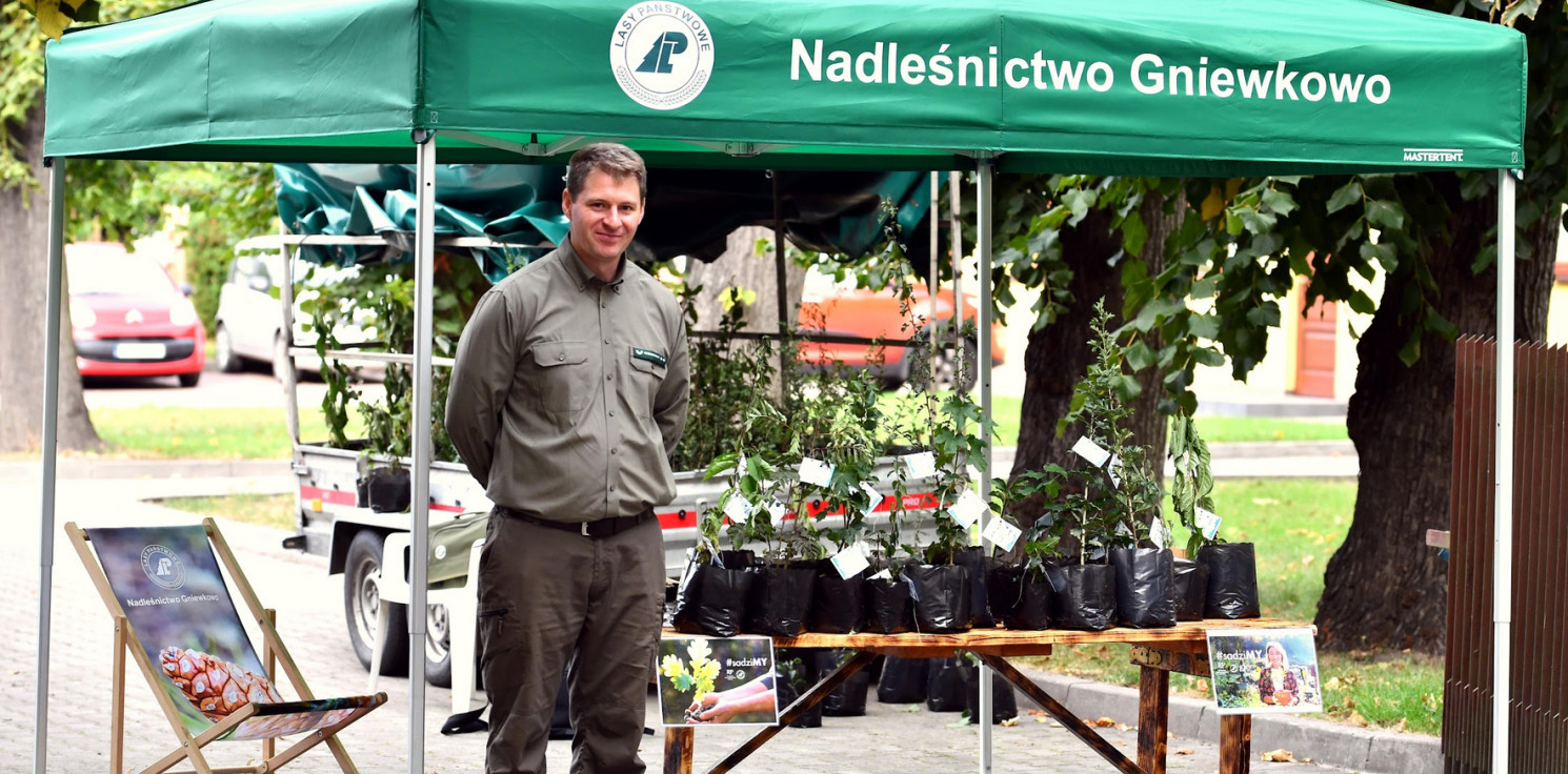 Gniewkowo.online - Rozdają sadzonki drzew. Tylko dzisiaj i jutro