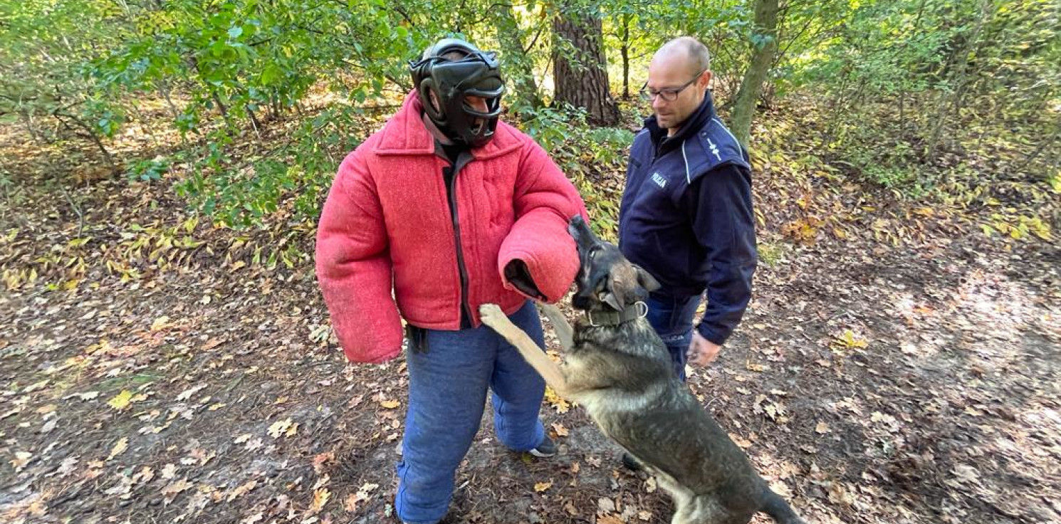 Inowrocław - Tak trenują policyjne psy do zadań specjalnych 